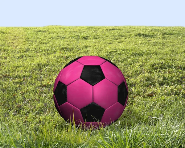 Schilderachtige Kijk Voetbalsport Concept — Stockfoto