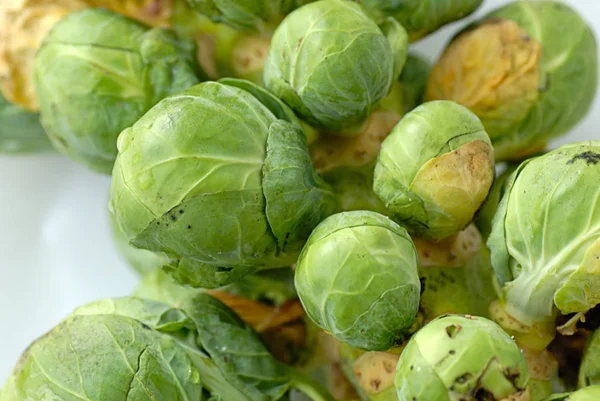 Rosenkohl Vegetarische Pflanzennahrung — Stockfoto