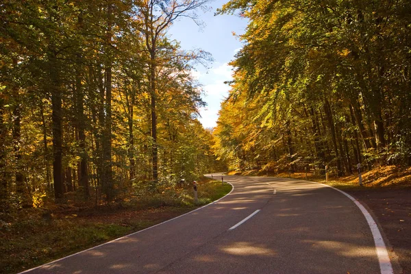 Ride Autumnal Palatinate Forest — Stock Photo, Image