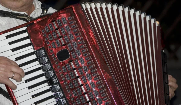 Harmonica Akordeon Instrument Muzyczny — Zdjęcie stockowe