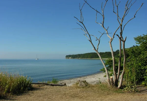 Hesnaes Island Falst Denmark Хороший Маленький Рыбацкий Порт Превосходным Рыбным — стоковое фото