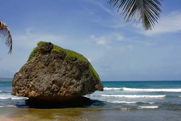 Barbade Est Une Île Des Caraïbes Orientales Une Nation Indépendante — Photo