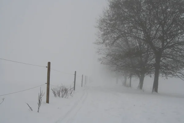 Blick Auf Eine Winterszene — Stockfoto