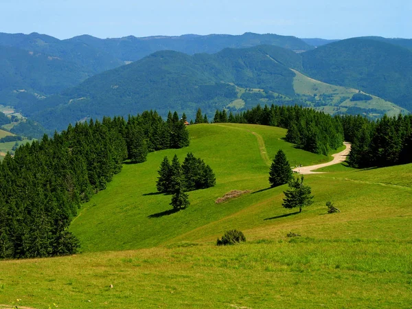 Vista Fantástica Sobre Schauinsland Schwarzwald — Fotografia de Stock