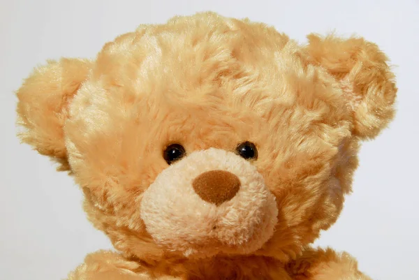 Teddybär Mit Roter Schleife Auf Weißem Hintergrund — Stockfoto