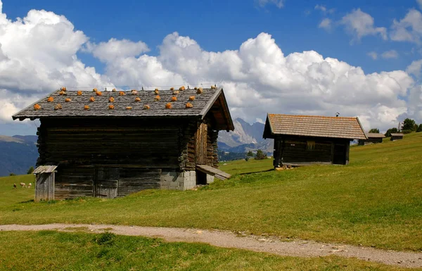 Malebný Pohled Majestátní Krajinu Dolomitů Itálie — Stock fotografie