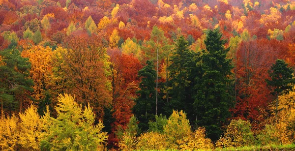 Hermosa Vista Del Paisaje Natural — Foto de Stock