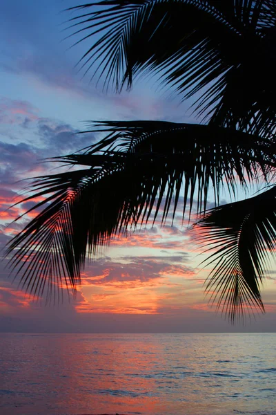 Mar Dei Caraibi Curacao Willemstad Sulle Isole Abc — Foto Stock