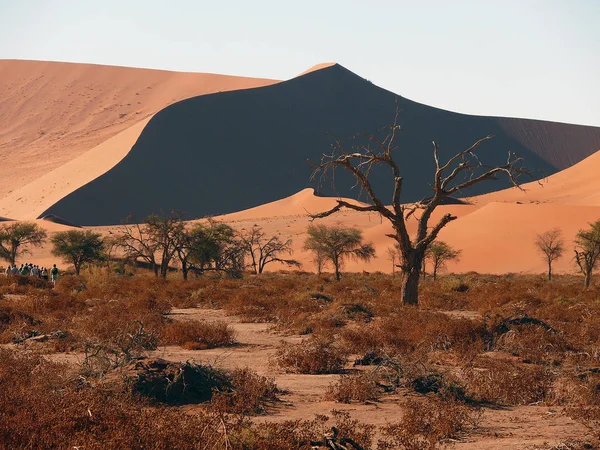 纳米比亚沙漠景观景观 — 图库照片