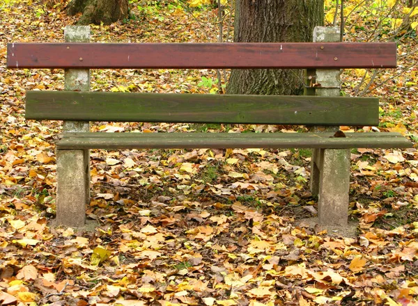 Парк Скамейка Осенью — стоковое фото