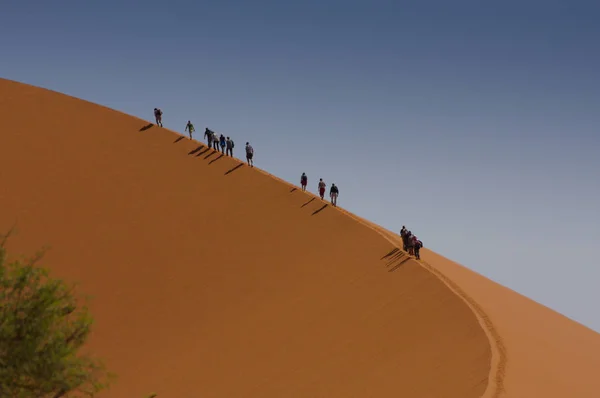 Scenic View Dunes Selective Focus — Stock Photo, Image