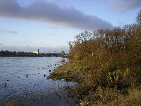 Dresden Elbe Peep Neustadt Bank — Stock fotografie