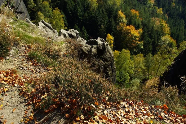 Dağ Nehri Ile Sonbahar Manzarası — Stok fotoğraf