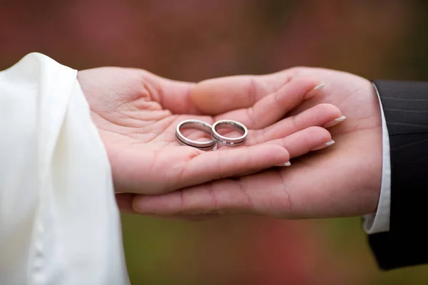 Trauringe Eheschmuck Verlobungsringe — Stockfoto