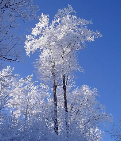 Fond Coloré Pour Noël Nouvelle Carte Vacances Année — Photo