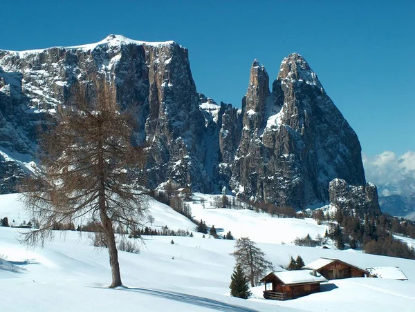 南チロル 南チロル South Tyrol イタリア北東部の州 — ストック写真