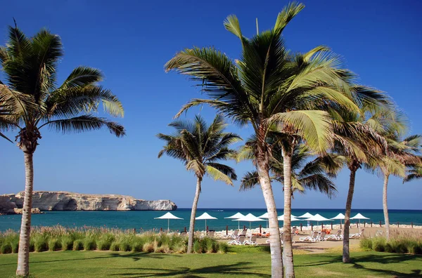 Palmenstrand Oman — Stockfoto