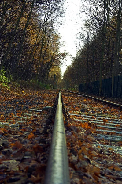 Carriles Tren Vacíos Tierra — Foto de Stock