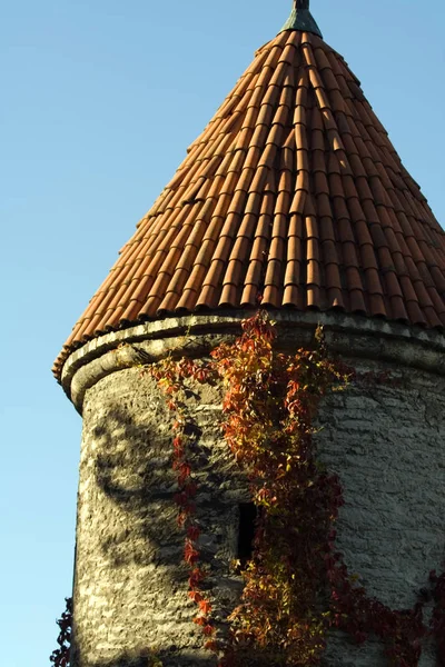 Slitna Stoltingi Tallinn Estland — Stockfoto