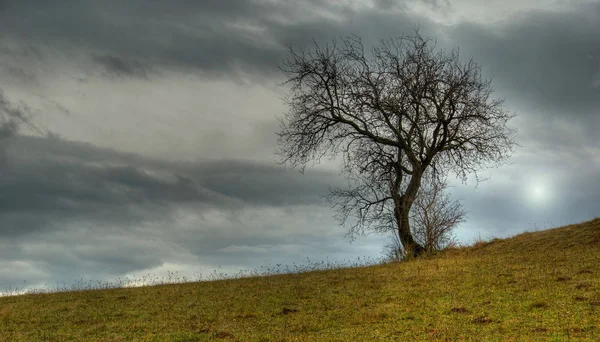 Landschap Van Prachtige Natuur — Stockfoto