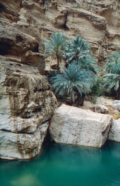 Scène Dans Wadi Shab Dans Oman — Photo