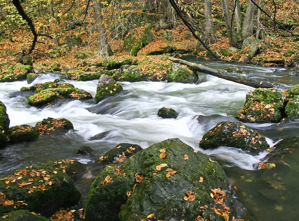 Krásný Výhled Přírodu — Stock fotografie