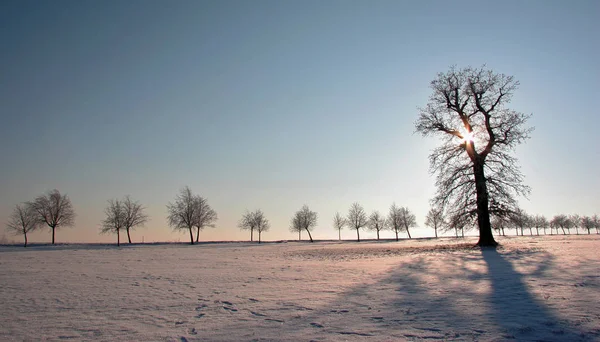 Sole Scende Inverno — Foto Stock