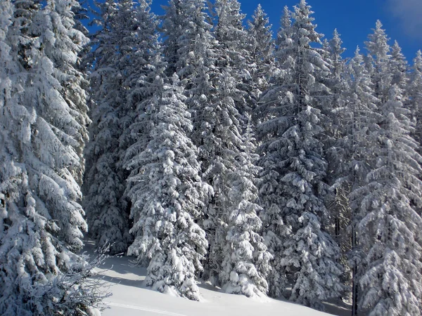 Kleurrijke Achtergrond Voor Kerst Nieuwjaar Vakantie Kaart Rechtenvrije Stockfoto's