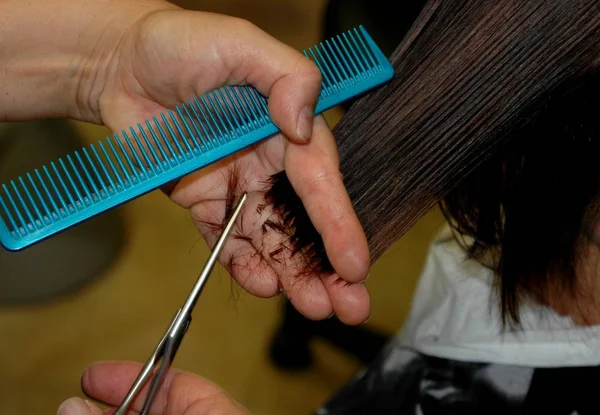 Barber Cutting Comb Hair Client — Stock Photo, Image