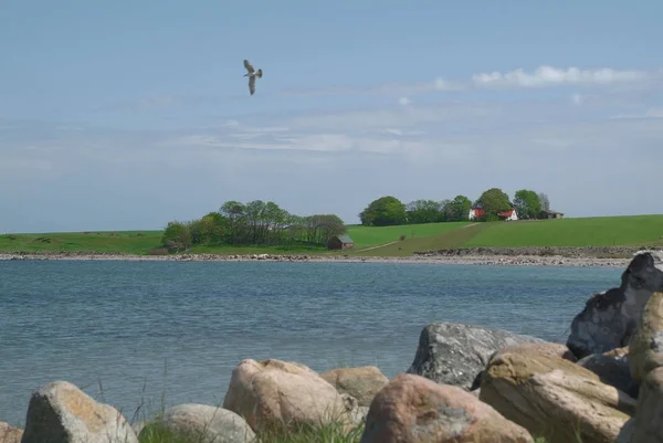 Danemark Est Pays Scandinave Comprenant Péninsule Jutland Nombreuses Îles — Photo