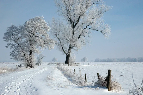 Hermosa Vista Del Paisaje Invierno — Foto de Stock
