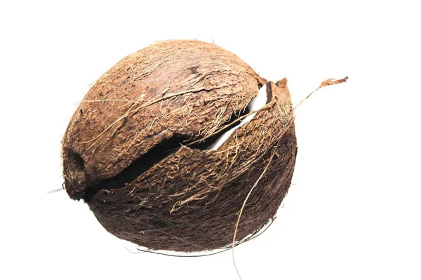 Kokosové Exotické Tropické Ovoce — Stock fotografie