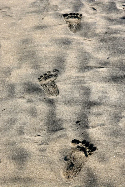 Empreintes Pas Dans Sable — Photo