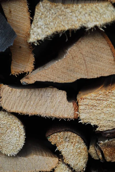 木の丸太 薪の幹 — ストック写真