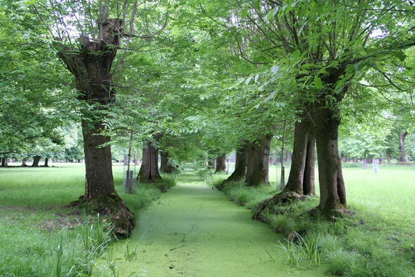 Kopfgewichte Tiergarten Hannover — Stockfoto