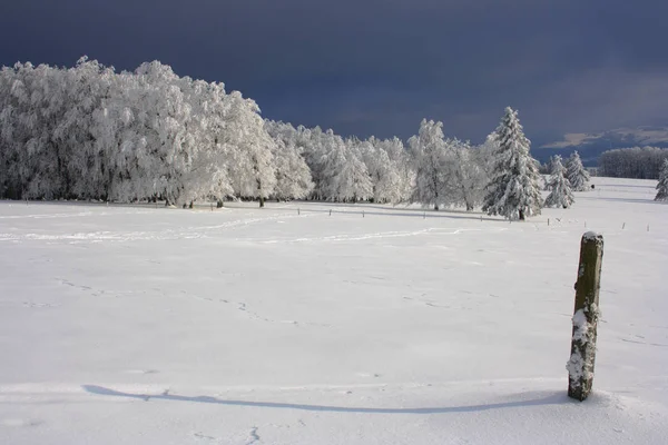 Vista Una Scena Invernale — Foto Stock
