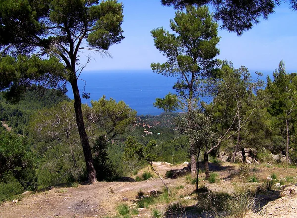 Majorka Majorka Jest Jedną Hiszpańskich Balearów Morzu Śródziemnym — Zdjęcie stockowe