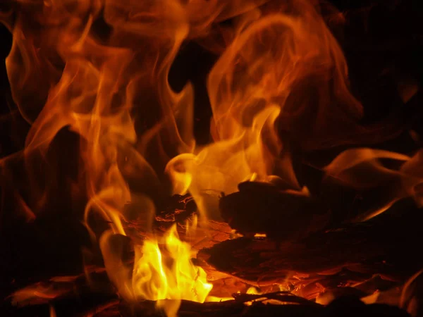 木の炎赤い炎 — ストック写真