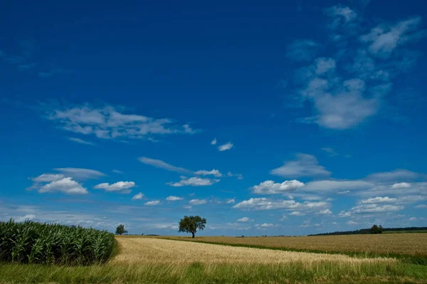 Мальовничий Вид Сільські Пейзажі — стокове фото