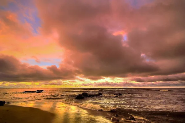 Una Sinfonía Rosa Empezando Con Esta Foto Gustaría Que Algunas — Foto de Stock