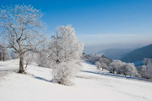 Snow Covered Winter Landscape — Stock Photo, Image