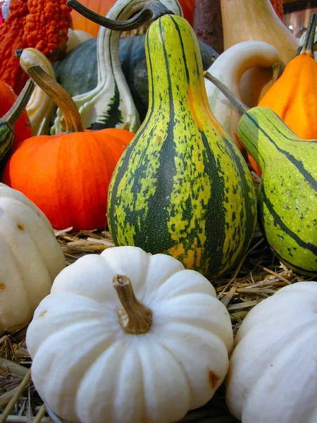 Vegetables Market Stall — Stock Photo, Image