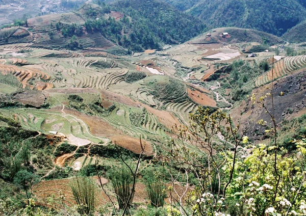 Paisagem Natureza Bonita — Fotografia de Stock