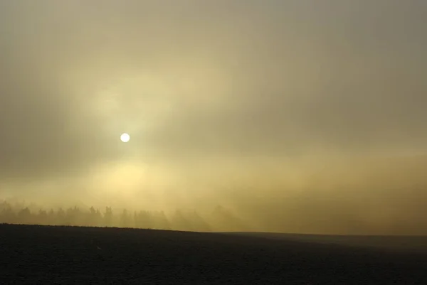 Malerischer Blick Auf Die Natur — Stockfoto