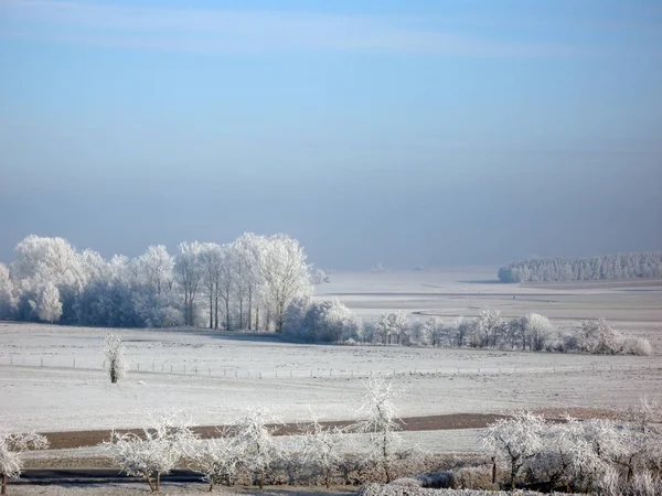 Paisagem Inverno Coberta Neve — Fotografia de Stock