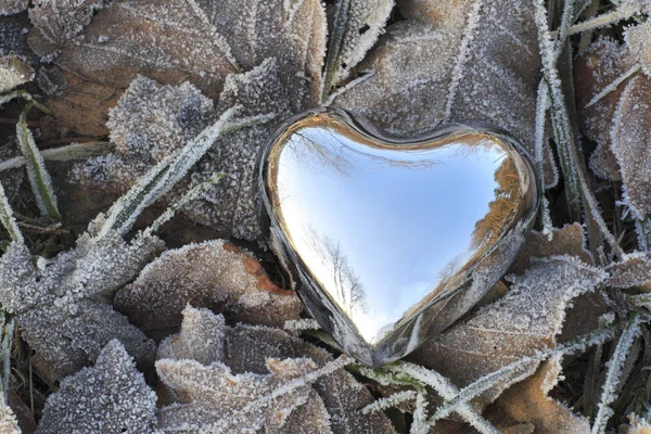 Hartvorm Sneeuw — Stockfoto