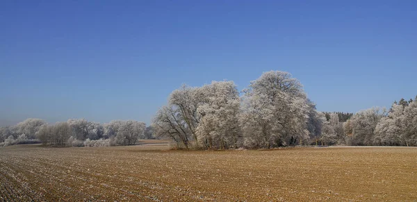 Bavyera Almanya Nın Güzel Toprakları — Stok fotoğraf