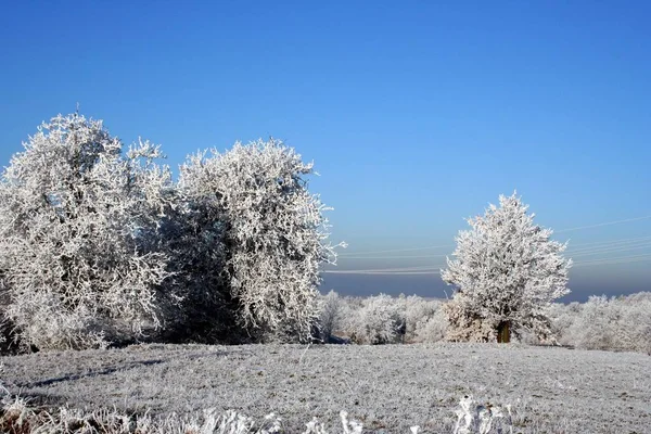 Hermosa Vista Del Paisaje Invierno —  Fotos de Stock