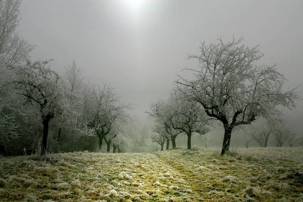 Krajina Krásné Přírody — Stock fotografie