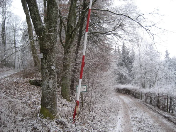 Snötäckt Vinterlandskap — Stockfoto